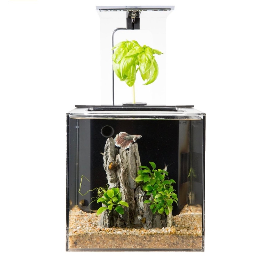 NEW in Box Desktop Aquarium SOLD***